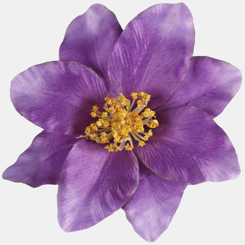 Clematis, Lilac/Yellow Center W572-11