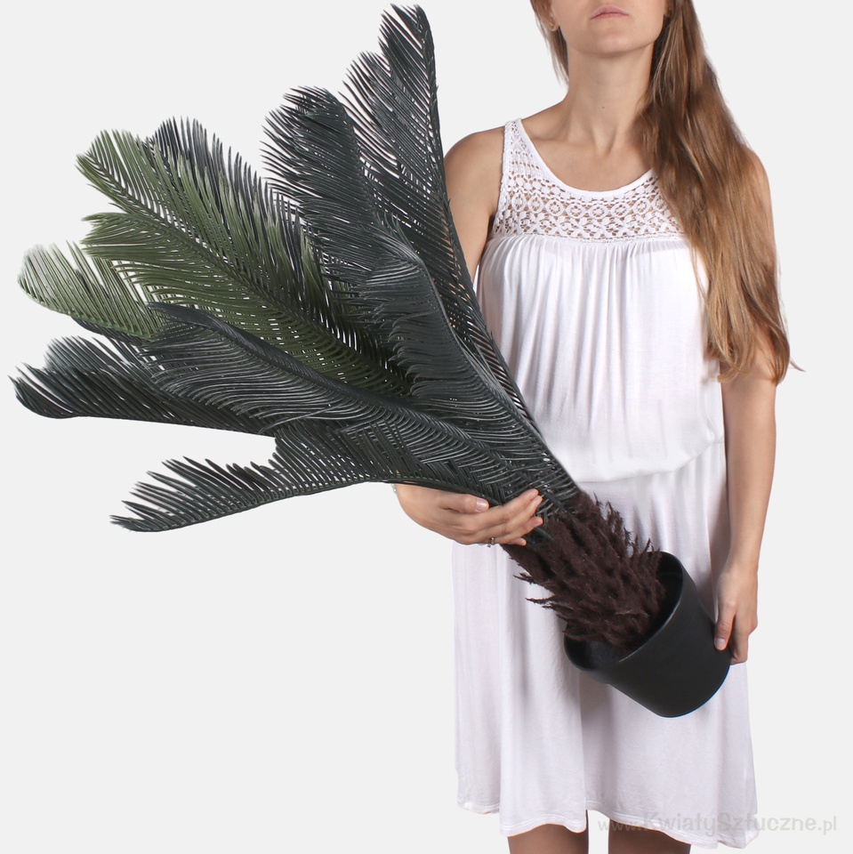 Cycas palm 0,9 m D079