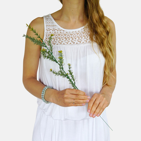 Field horsetail A685 (Product size)