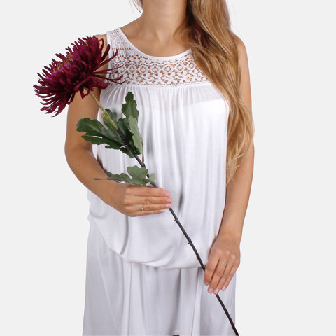 Chrysanthemum L222K (Product size)
