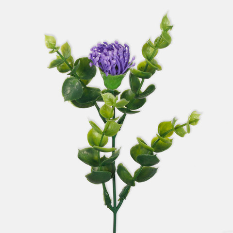Blooming bilberry A595