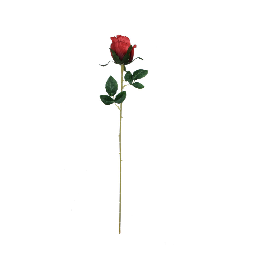 Róża - gałązka - 53 cm, m2 K404-m2