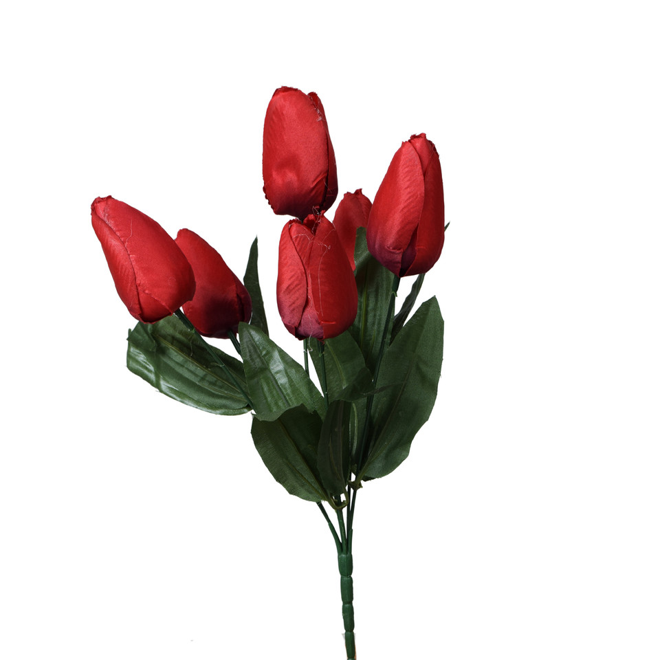 Tulipany - bukiet x6 35 cm, m U122-m