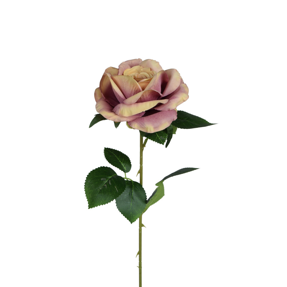 Róża - gałązka 63 cm, cream/lavender center K398-04