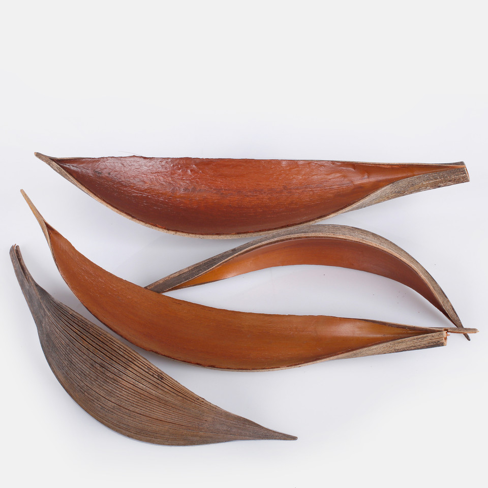 Coco shell 250 g Y044