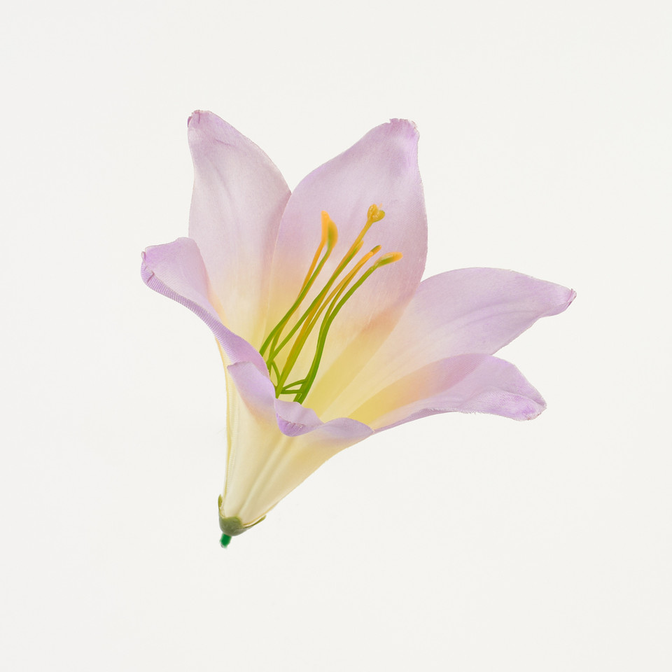 Lilia – główka satyna, violet/yellow B276-030