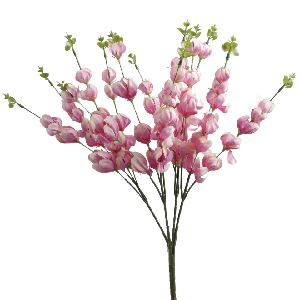 Miechunka (Dzwonki) - bukiet 48 cm, m U233-m
