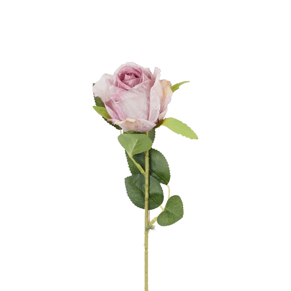 Róża - gałązka 50cm, 03 meave AL136-03