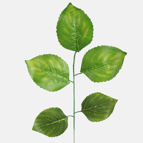 Linden F206