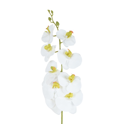 Storczyk - gałązka gumowana 102 cm, white GK560-01