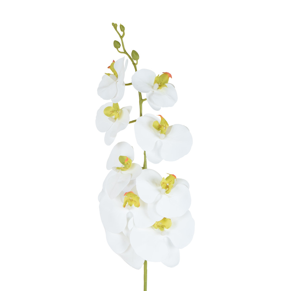 Storczyk - gałązka gumowana 102 cm, white GK560-01