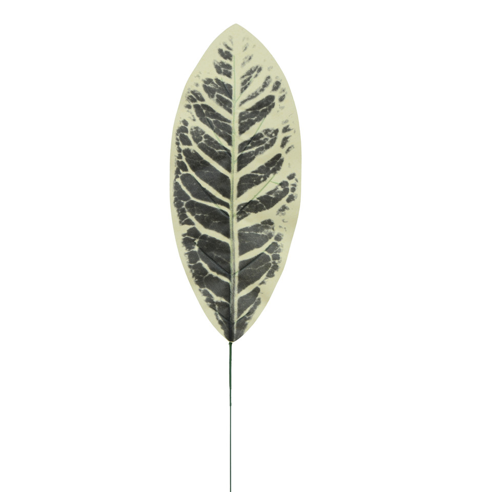 Kalatea - liść 49 cm L530-00