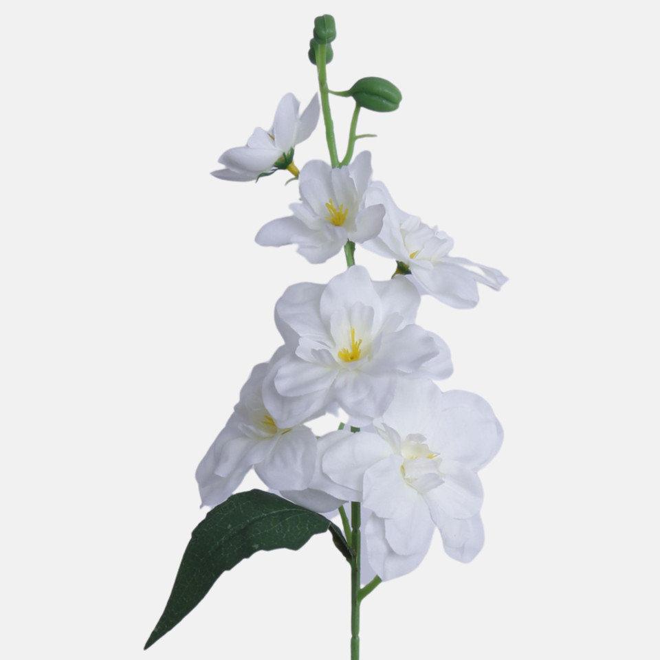 Malwa, White BK651-01