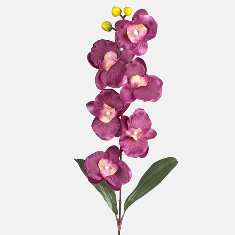 Orchid, Purple L160-08