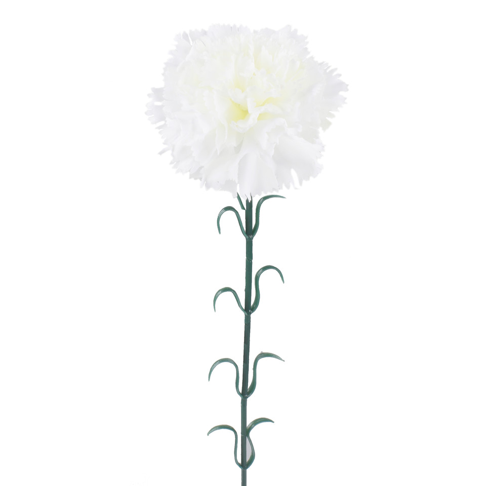 Carnation, Cream L149-03