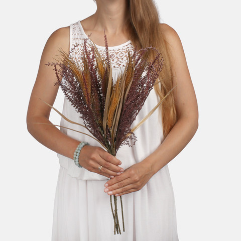 Grasses with decorative ears A768 (Product size)