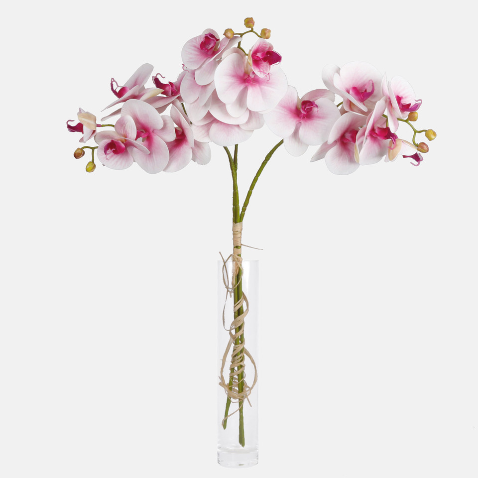 Orchid, Lt. Pink L775L-04