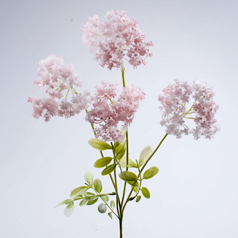 Trybula, Lt. Pink G493-02