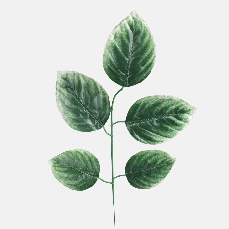 Linden, Green/Lt. Green Edge F208-01