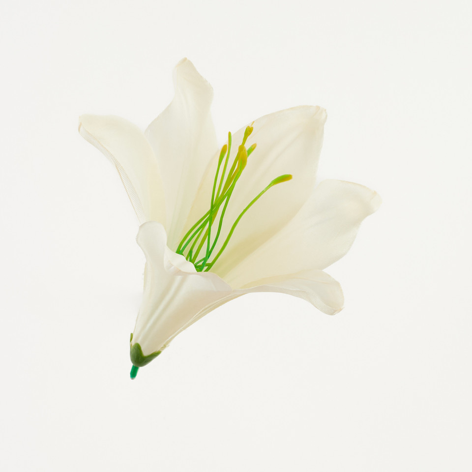 Lilia – główka satyna, warm cream B276-003