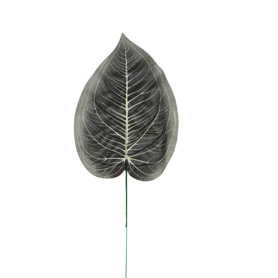 Hosta - liść 47 cm L495-00