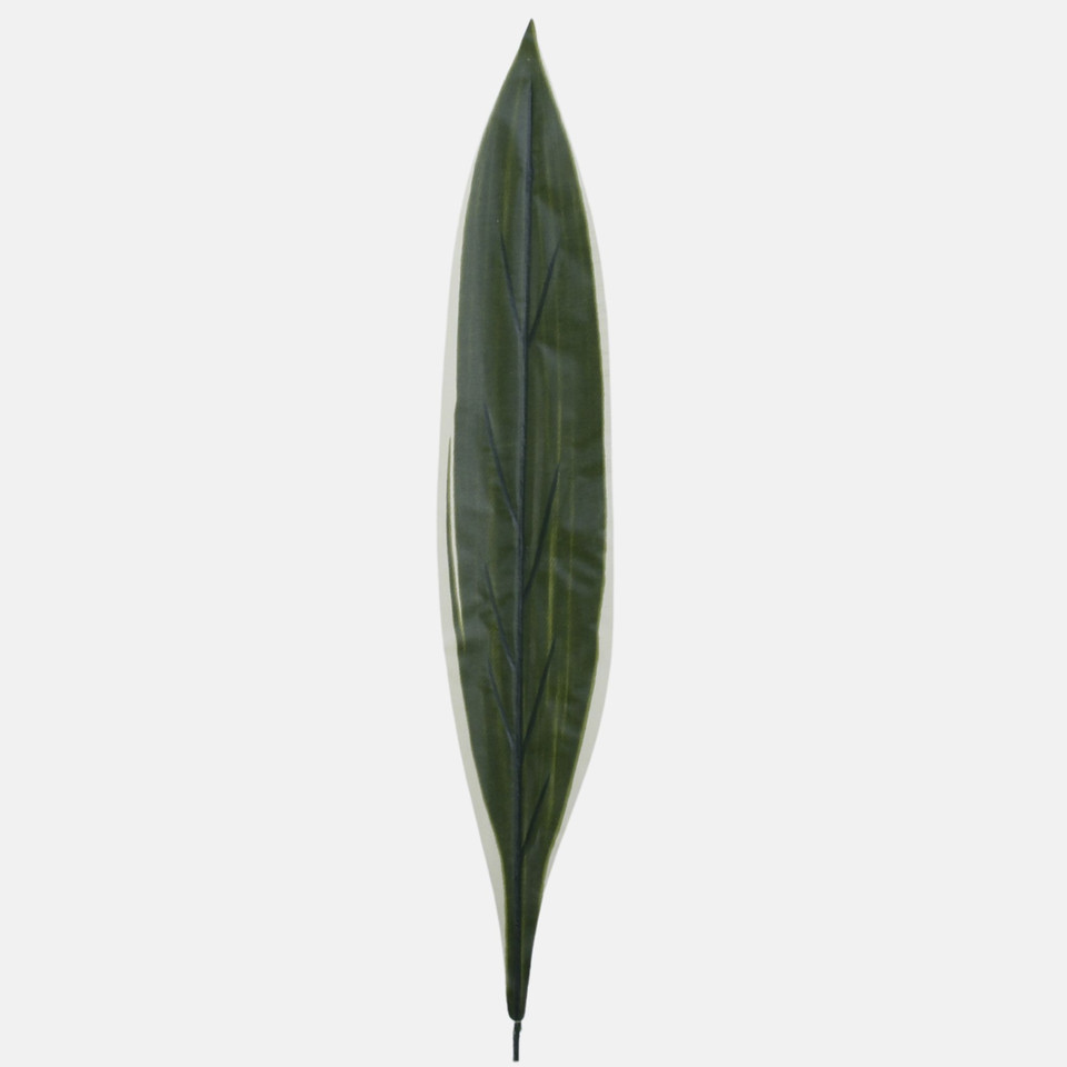 Liść draceny, Green/Yellow H011C-04