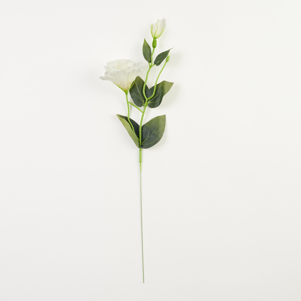 Eustoma – gałązka, cream B179-05