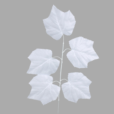 Maple, White F243-03