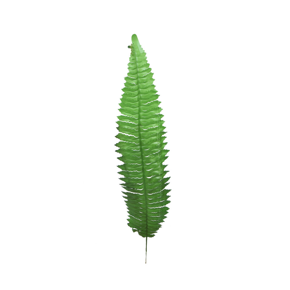 Paproć - liść  55 cm, green L214-00