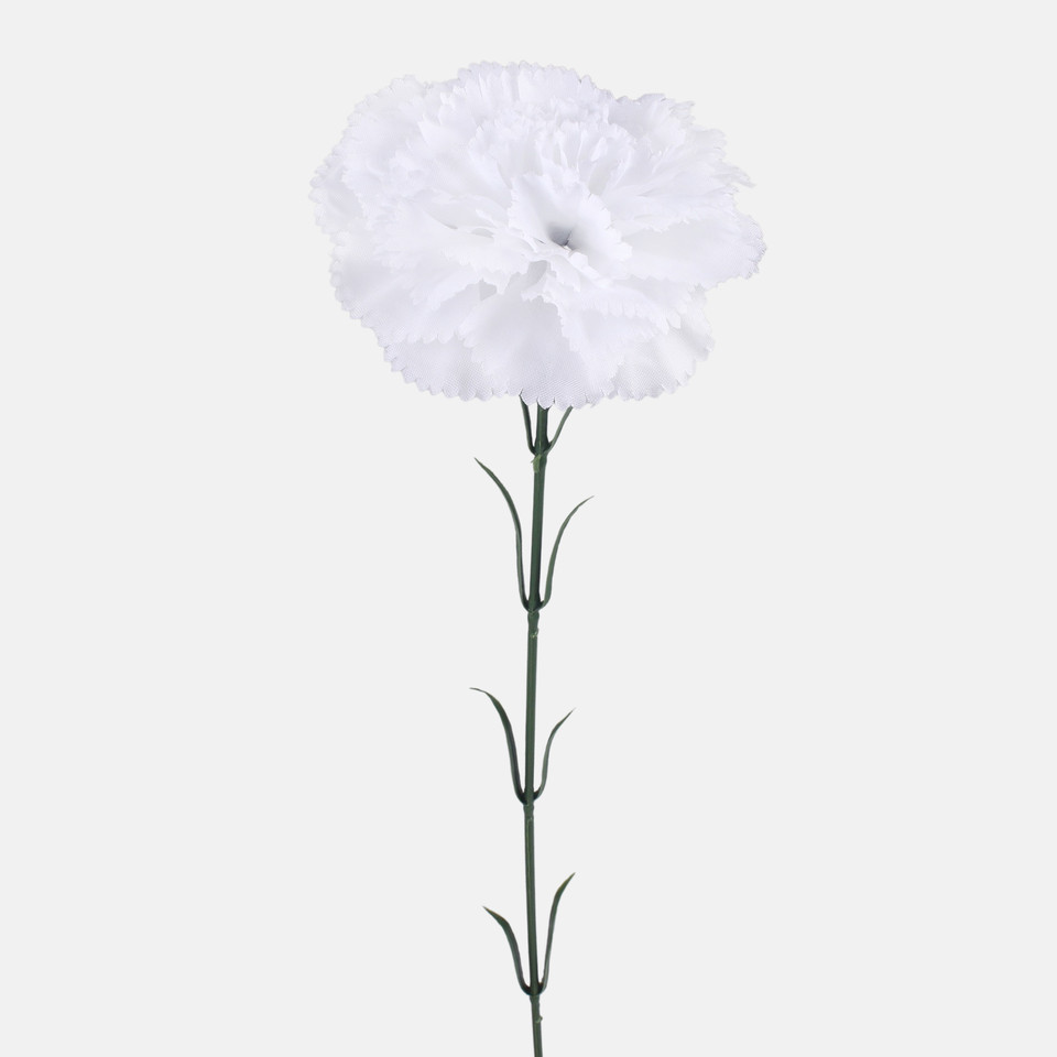 Carnation, Mix 1 G392-01