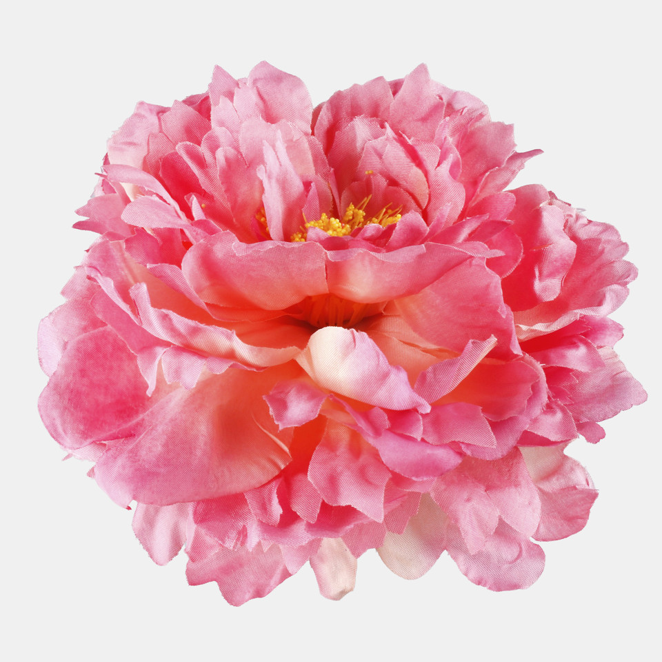 Peonia, Mauve W615-12