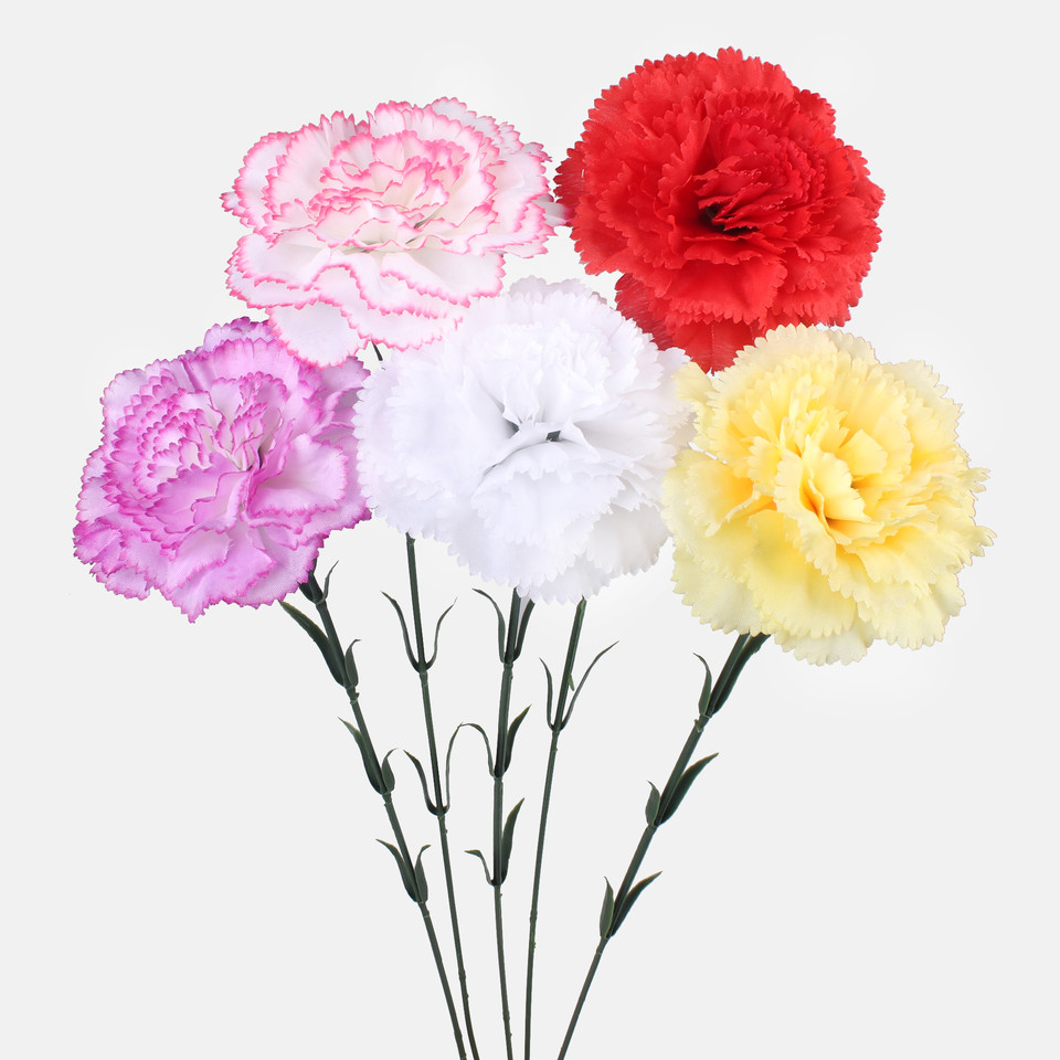 Carnation, Mix 1 G392-01