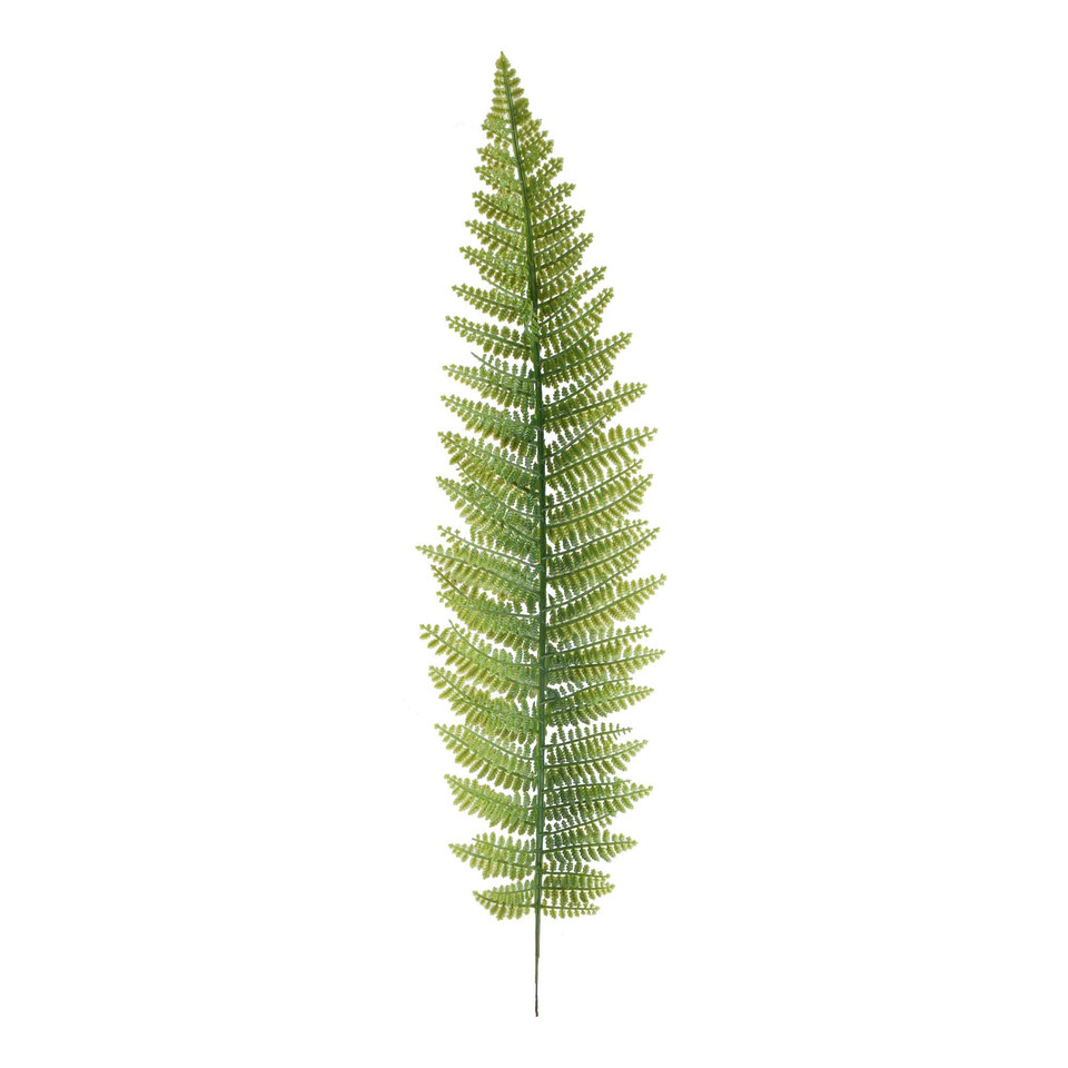 Paproć - liść 55 cm, green L803-00