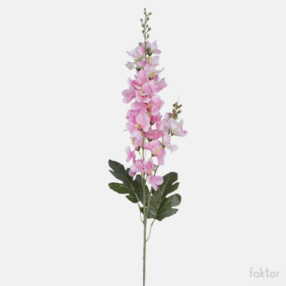Delphinium, Mix BK244-01