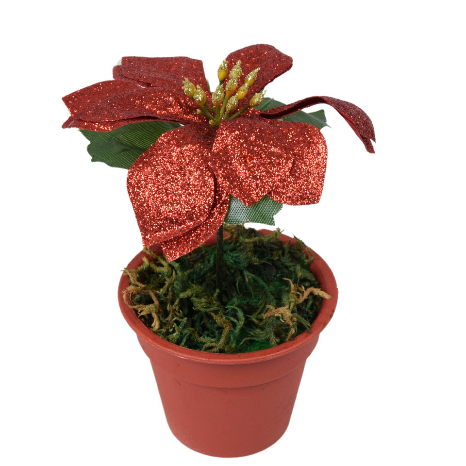 Poinsecja w doniczce 15 cm, white, silver, red, gold X313-00