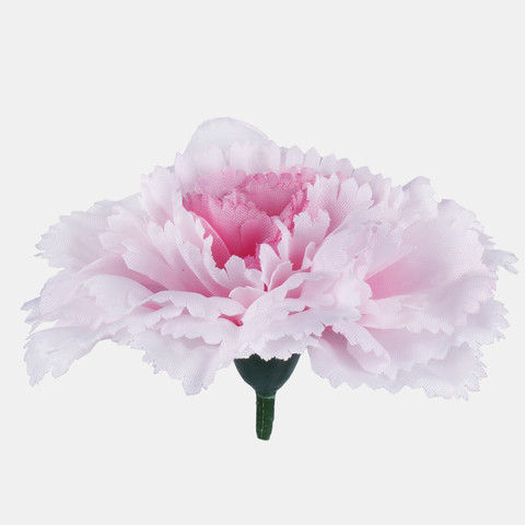 Carnation, T.T. Pink W680-05