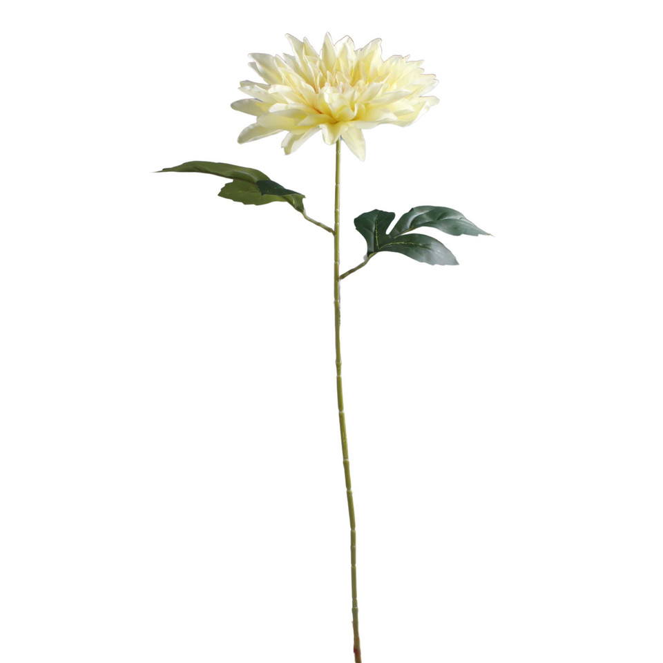 Dalia, Vanilla/Lt. yellow K657-12