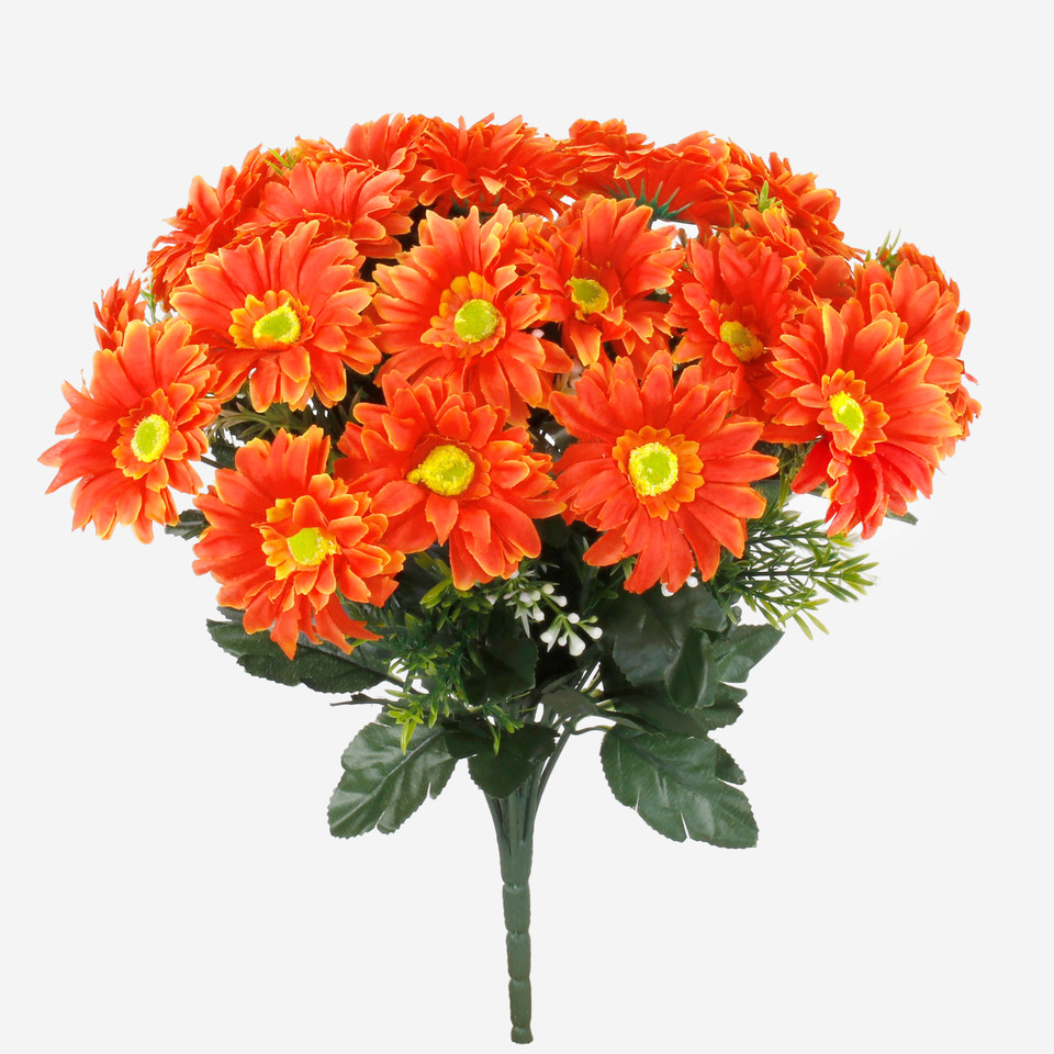 Gerbera x 24, Orange QA078-05