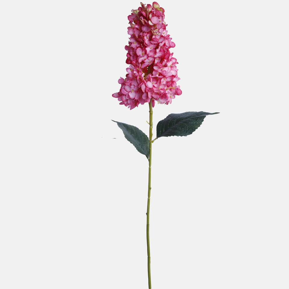 Hortensja, Pink BGK345-05