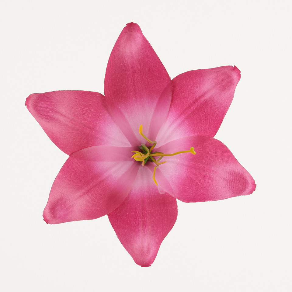 Lilia – główka satyna, fuchsia B276-013