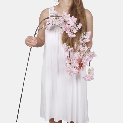 Apple-tree, T.T. Pink L874-02