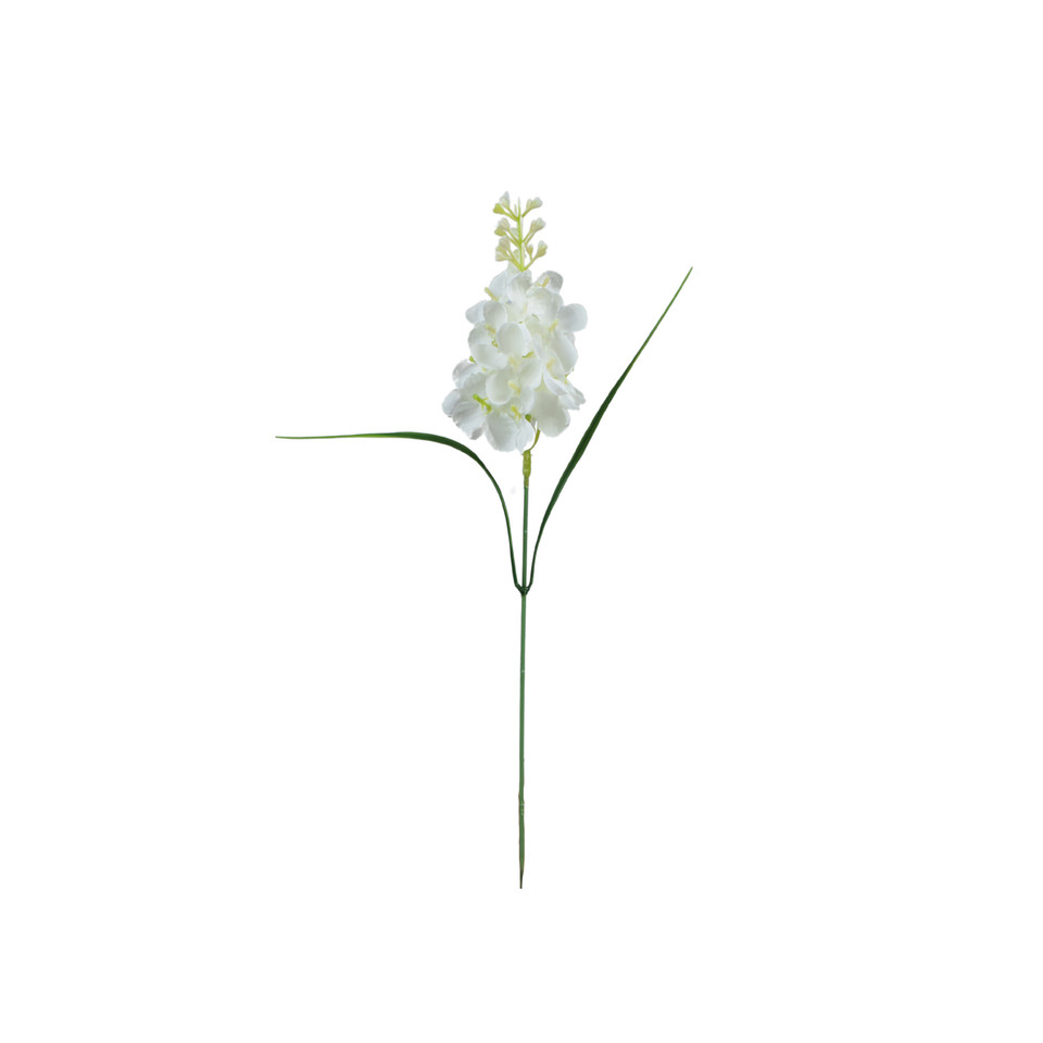 Hiacynt - pik 36 cm, m DK077E-m