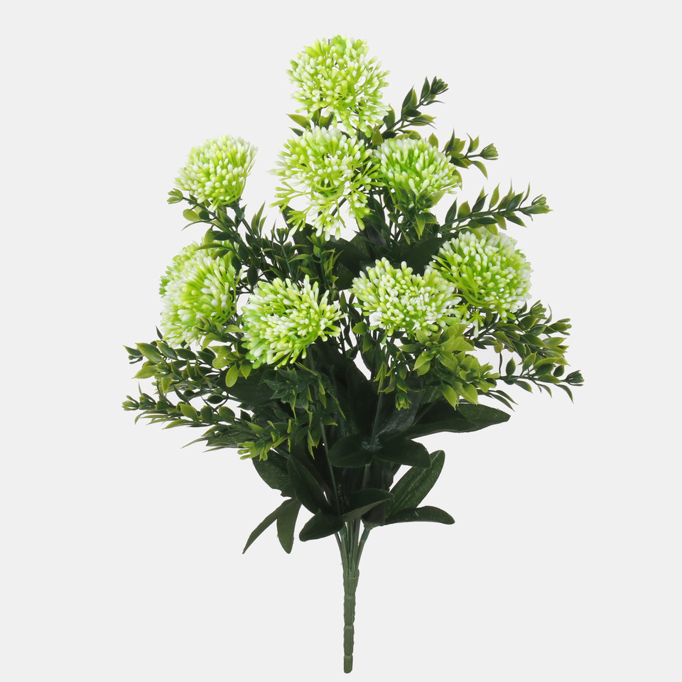 Onion Flower x 10, Lt. Green/White QA248-01