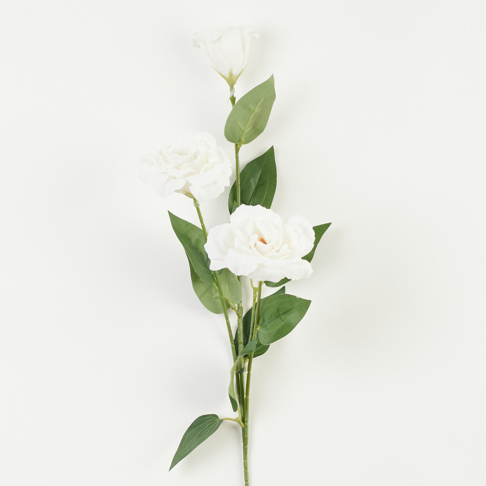 Eustoma – gałązka x3, cream A105-01