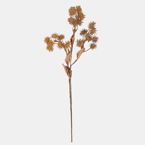 Thistle, Autumn Orange A770-03