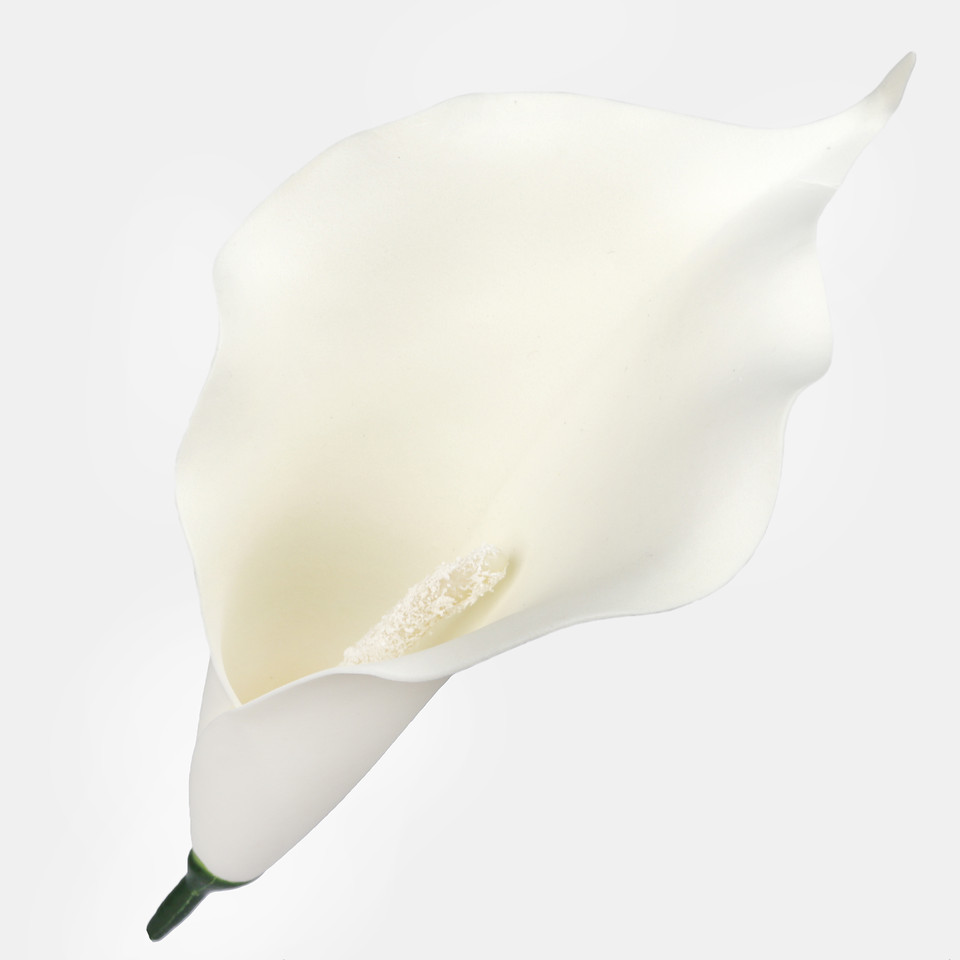 Calla, Autumn Cream W713-08