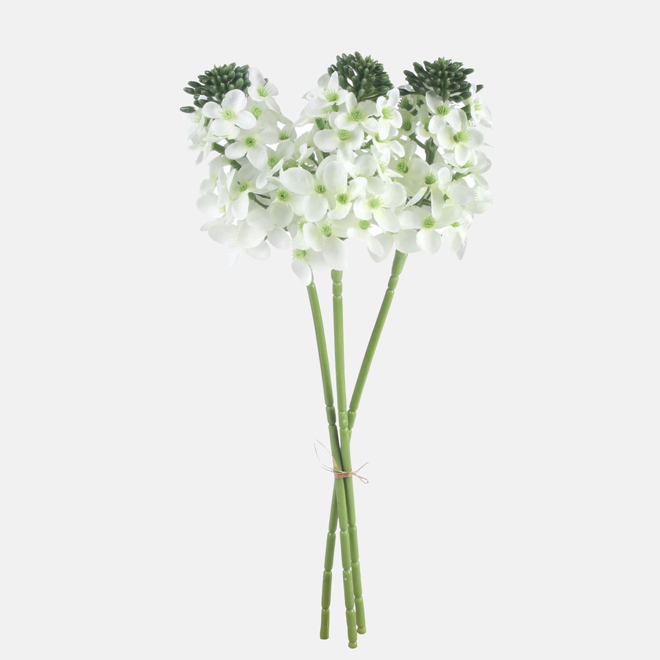 Tuberoza x 3 bukiet, Cream QA363-01