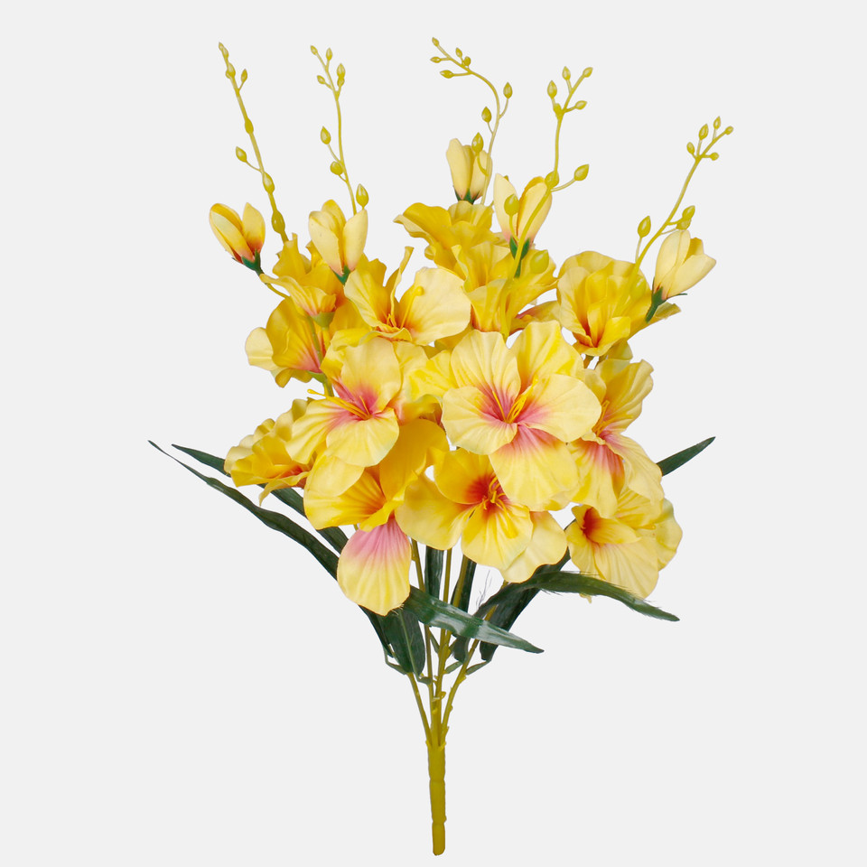 Gladiolus x 5, Mix 1 QA053-01