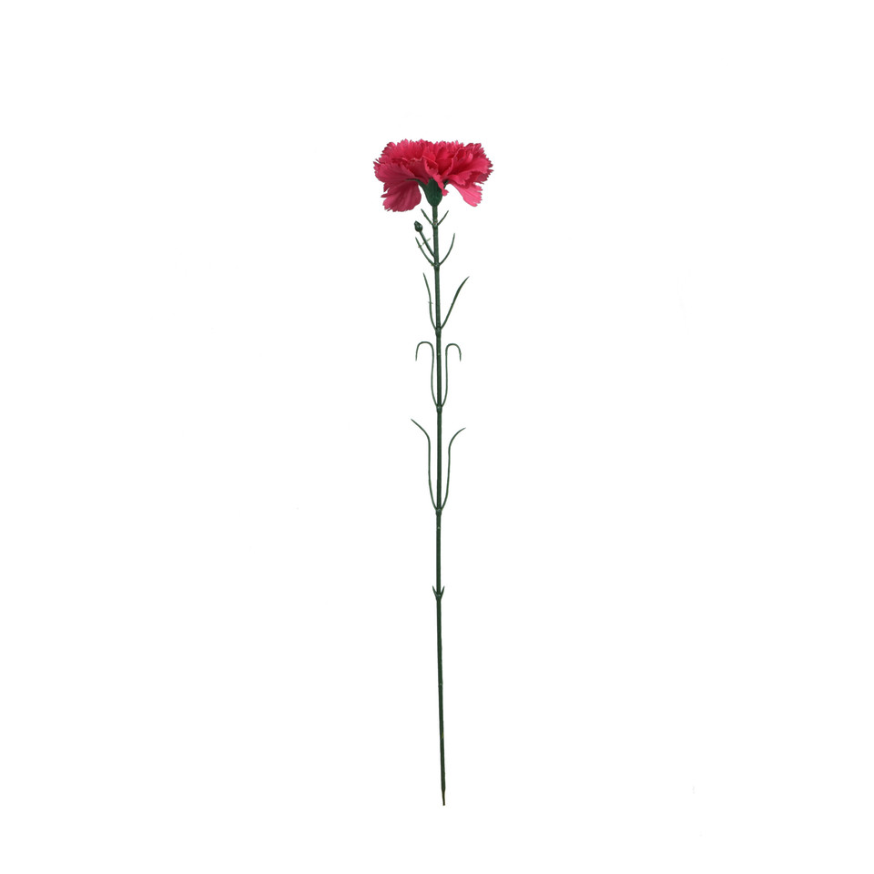 Goździk - gałązka 54 cm, m2 GK148-m2