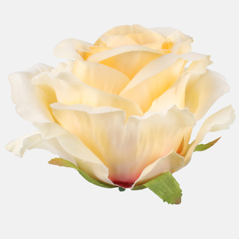 Rose, Lt. Yellow W697-23